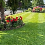 Lawns