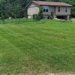 Lawns