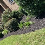Landscaping & lawn care