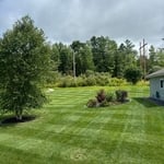 Beautiful yard