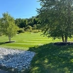 Beautiful yard