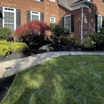 Trimming and Mulching