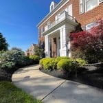 Trimming and Mulching