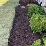 Lawn Care