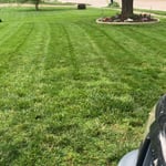 Lawn Care