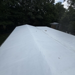 Roof overview