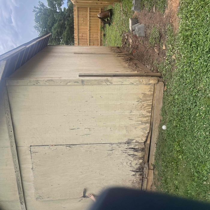 Shed clean up