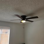 Ceiling Fan installation