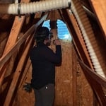 Bat Removal