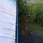 Gutters and roof