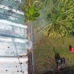 Gutters and roof