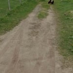 Driveway repair.
