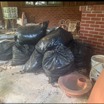 Deep Freezer/Junk Removal