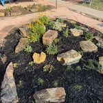 Xeriscaping and Flagstone