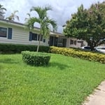 Lawn maintenance