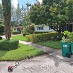 Lawn maintenance