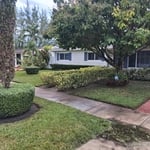 Lawn maintenance