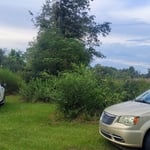 Property reclamation