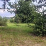 Property reclamation