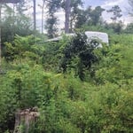 Property reclamation