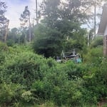 Property reclamation