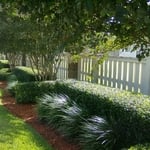 Photos of my work