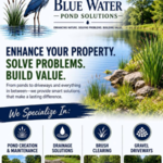 BLUE WATER POND SOLUTIONS