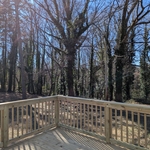 Deck Restoration
