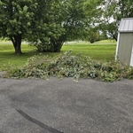 Yard Waste Removal