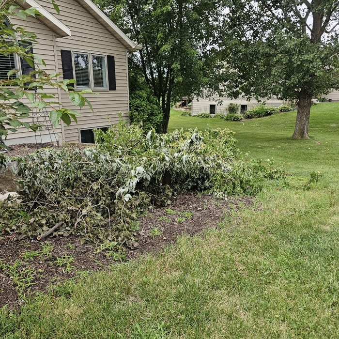 Yard Waste Removal