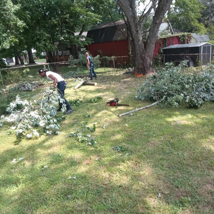 Tree Removal