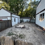 Cut tree down