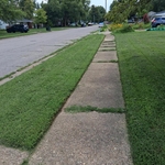 Lawn care