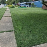 Lawn care