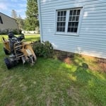 Tree Removal