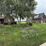 Tree Pruning