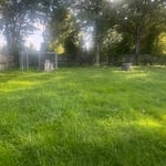 Large over grown yard