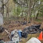 Shed removal
