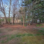 Shed removal