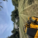 Yard maintenance