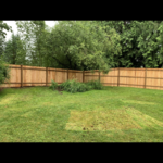 CEDAR FENCE