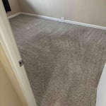Carpet cleaning