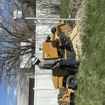 Stump Grinding