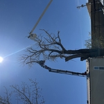 Crane and Bucket
