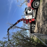 Saw Crane
