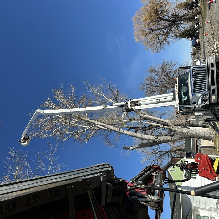 Bucket Truck