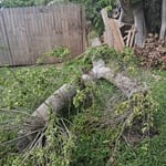 Madera
