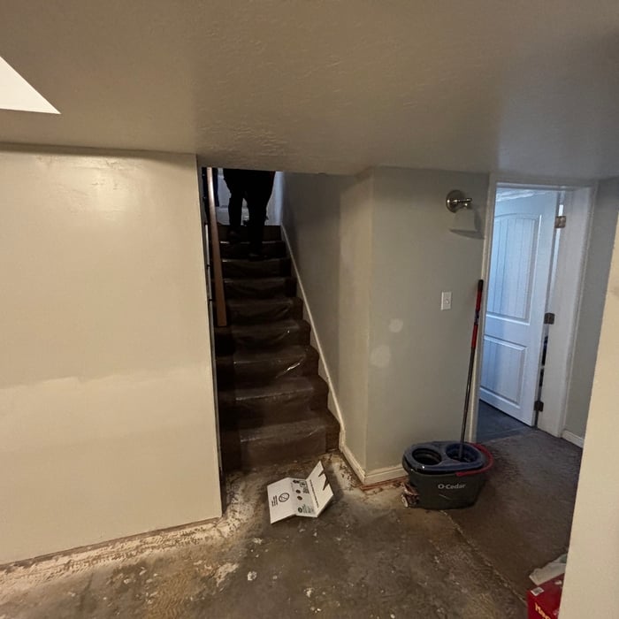 Basement Remodel