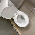 Full home cleaning