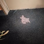 Bleached spot repair